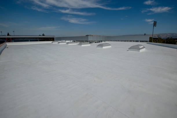 Best Roof Leak Repair  in Opelousas, LA